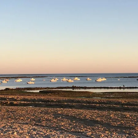 Ferienhaus Grande Maison Familiale A - 500 M De La Surveillee *