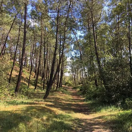 Grande Maison A A 500 M De La Hébergement de vacances *