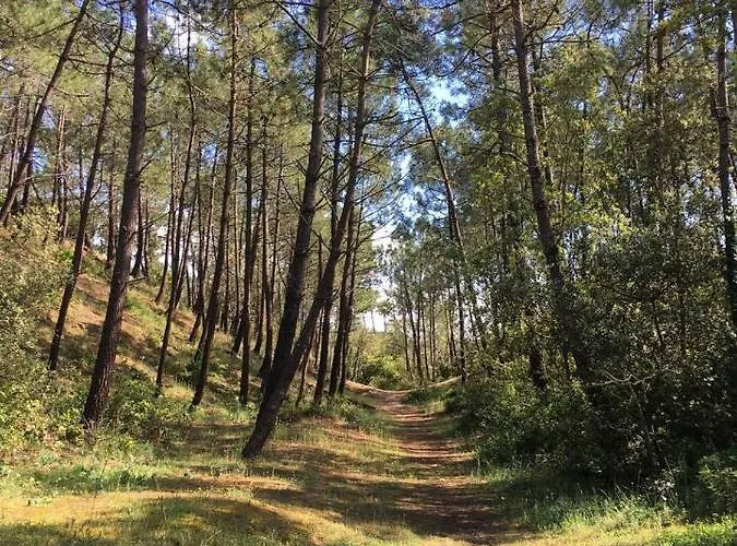 Grande Maison Familiale à - 500 M De La Surveillée Сasa de vacaciones *